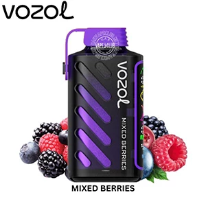 VOZOL GEAR POWER - 12000-20000 Puffs, Baies mélangées, Puff Jetable Éco & Puissant